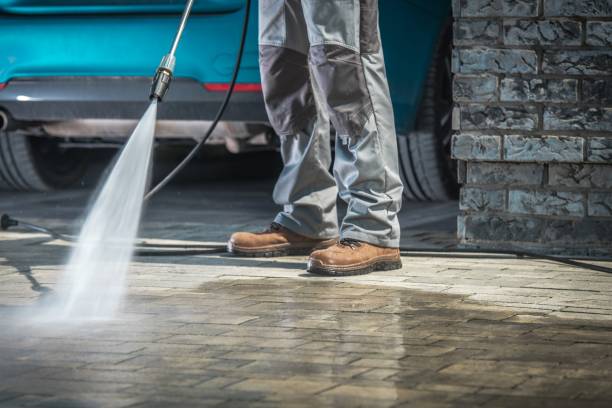 Best Roof Washing  in Mccom, MS